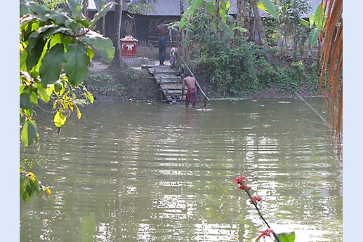 Viaggio in India 2008 - Sunderbans